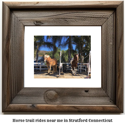 horse trail rides near me in Stratford, Connecticut